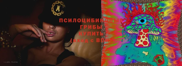гидра Алексин