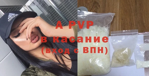 гидра Алексин