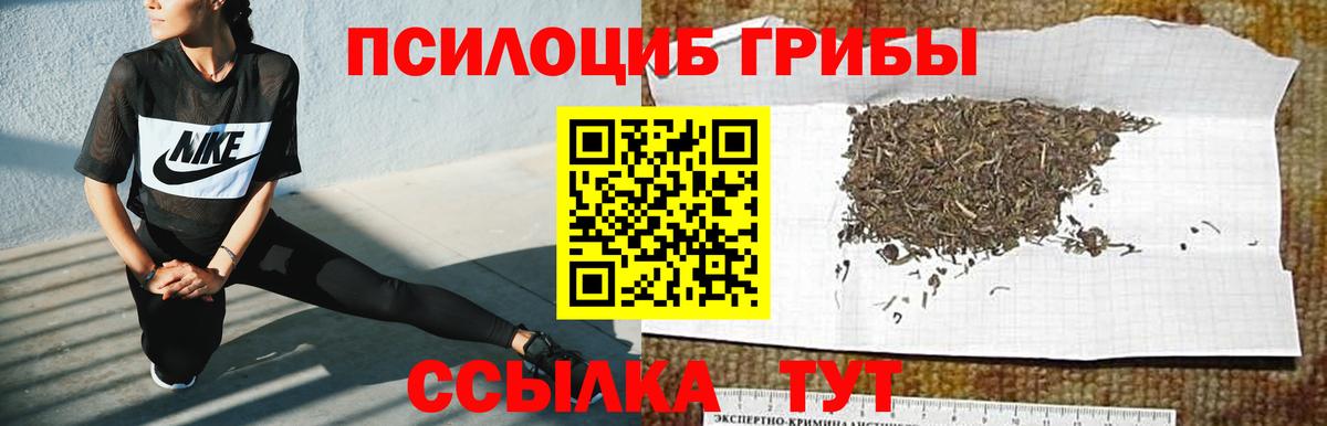 Псилоцибиновые грибы прущие грибы  Вход с VPN  где купить наркоту  Галлюциногенные грибы MAGIC MUSHROOMS  Уссурийск 
